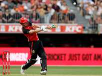 崭露锋芒的 崭露锋芒的